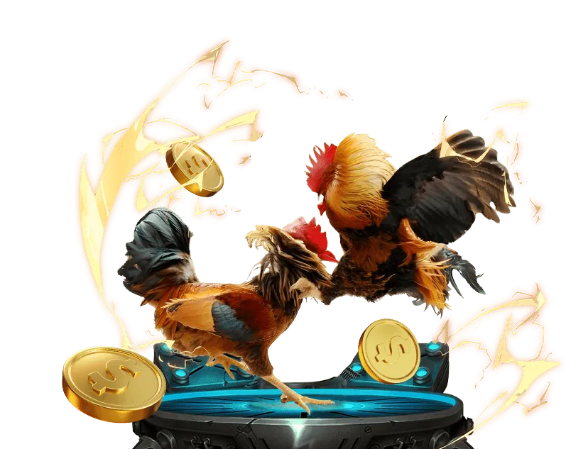 Quản lý vốn hiệu quả King88