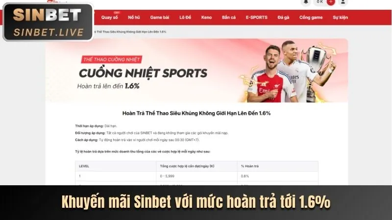 Mẹo Cá Cược Thể Thao Dành Cho VIP